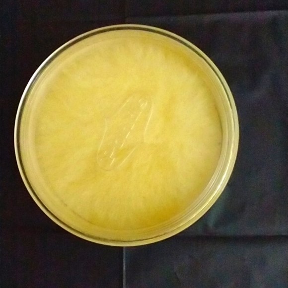 Vintage POND'S Dreamflower Dusting Powder NWOT - Picture 4 of 8